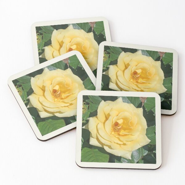 Item preview, Yellow Rose designed and sold by STHogan.