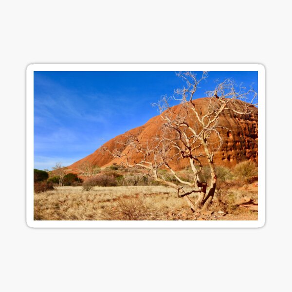 Item preview, Tree at Kata Tjuta, The olgas, NT Australia designed and sold by Bec Rose.
