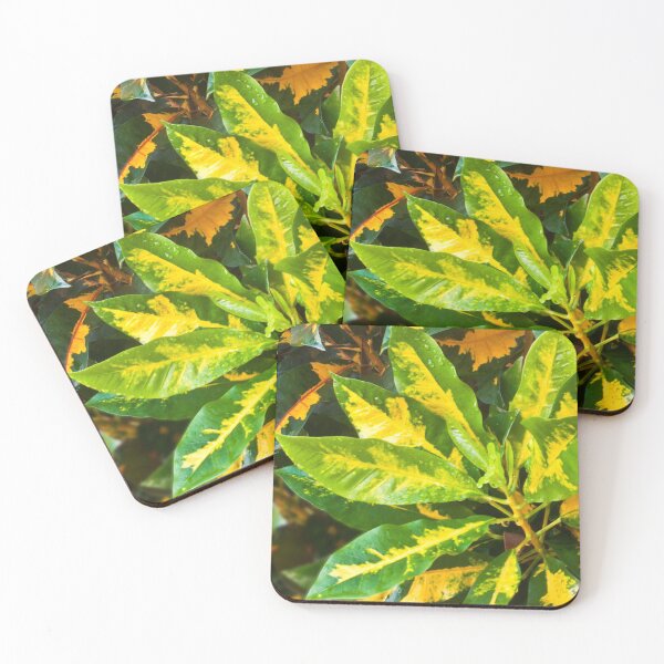 Item preview, Nature in Colour designed and sold by Margaret Stevens.