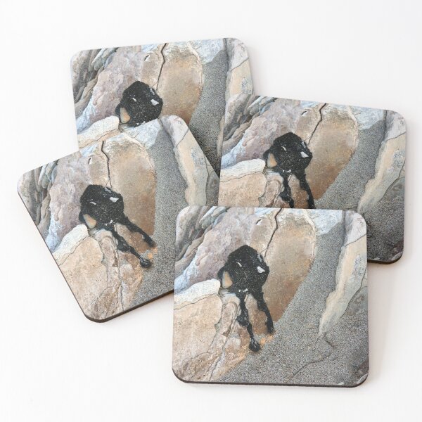 Item preview, Mr. Asphaltum Rests On A Rock designed and sold by CarolM.