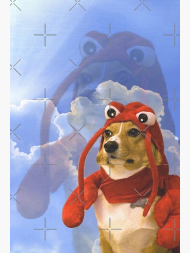 "lobster dog meme" Sticker by jamesheath Redbubble