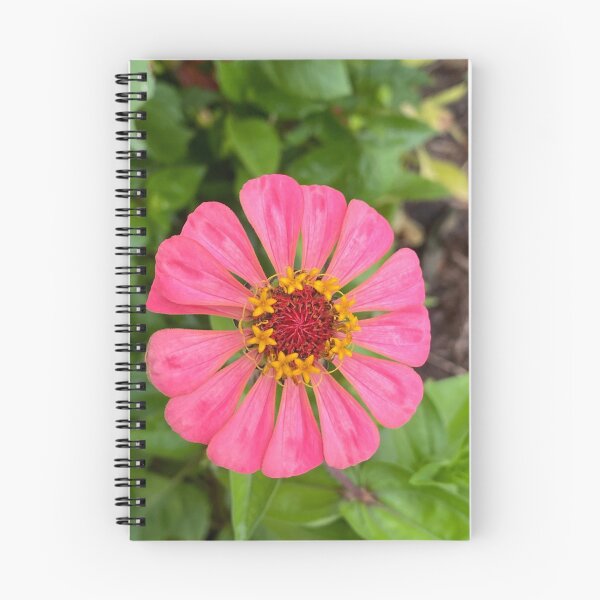 Item preview, Pink flower  designed and sold by Grumble-Bee.