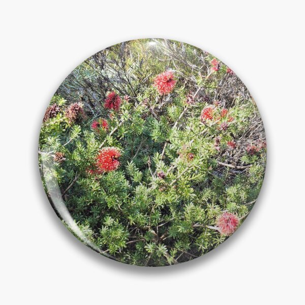 Item preview, Kunzea baxteri  designed and sold by Margaret Stevens.