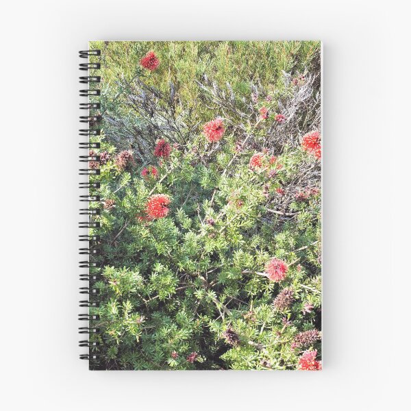 Item preview, Kunzea baxteri  designed and sold by Margaret Stevens.