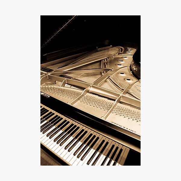 Grand Concert Piano Photographic Print