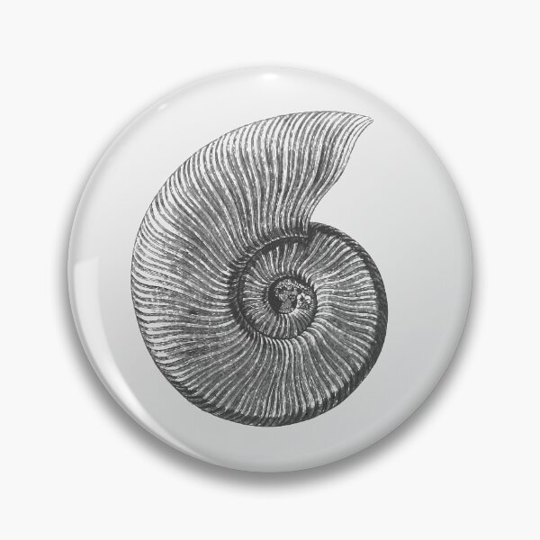 Item preview, Ammonite Fossil designed and sold by Rob Price.