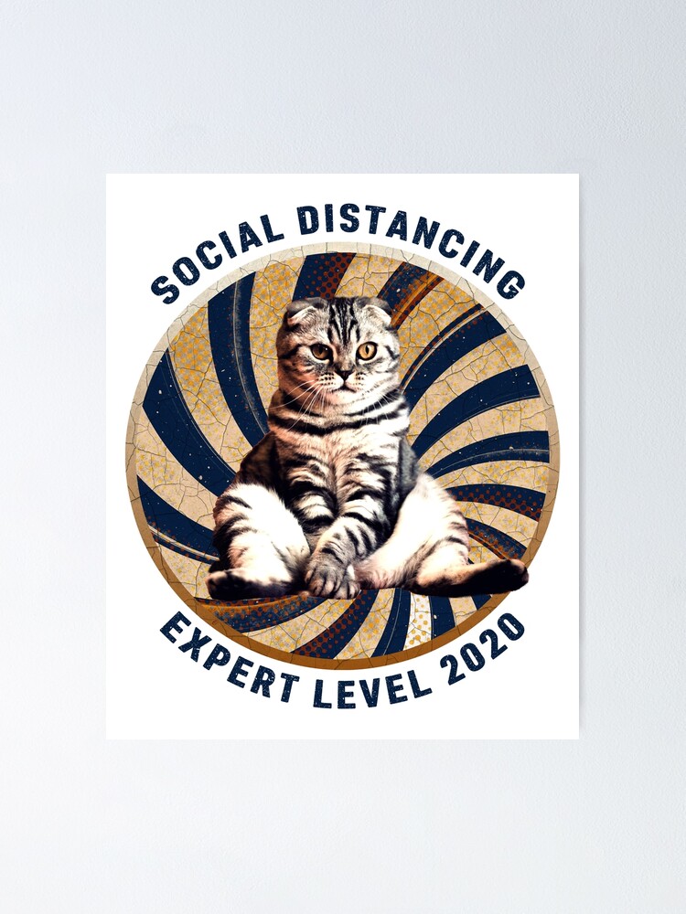 Social Distancing Expert Antisocial Flu Virus T-Shirt Social Distancing Expert Antisocial Flu Virus T-Shirt