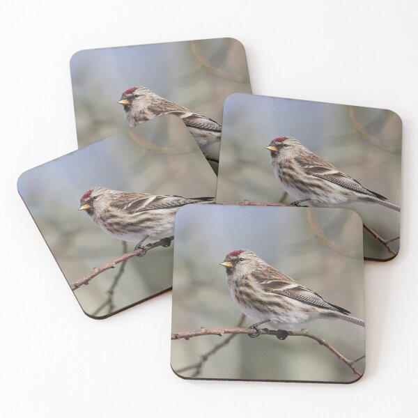 Item preview, The dark one.The common redpoll designed and sold by Jouko Lehto Photography.