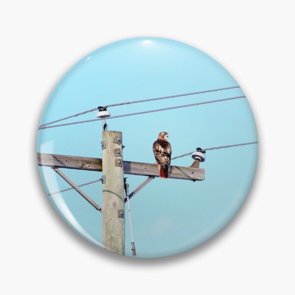Item preview, Red Tailed Hawk on Pole designed and sold by Susie Kramer.