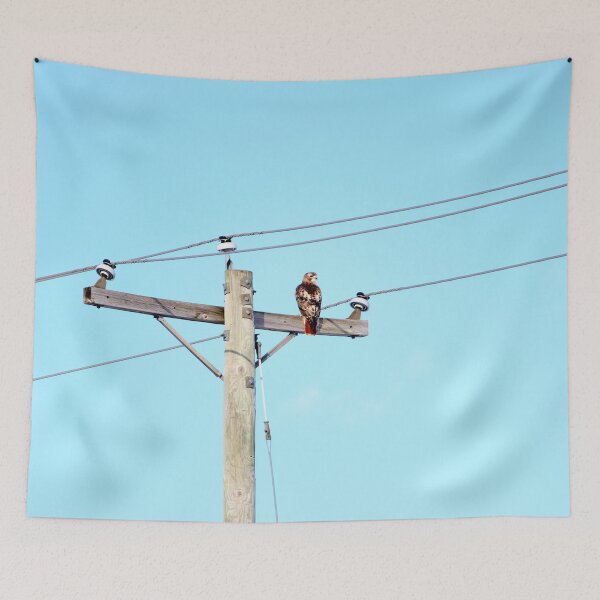 Item preview, Red Tailed Hawk on Pole designed and sold by Susie Kramer.