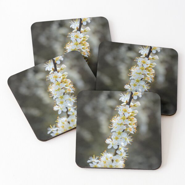 Item preview, Blackthorn designed and sold by JEZ22.
