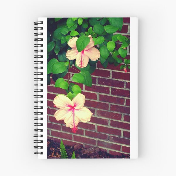 Item preview, Hibiscus Flowers designed and sold by Megan Wolff.