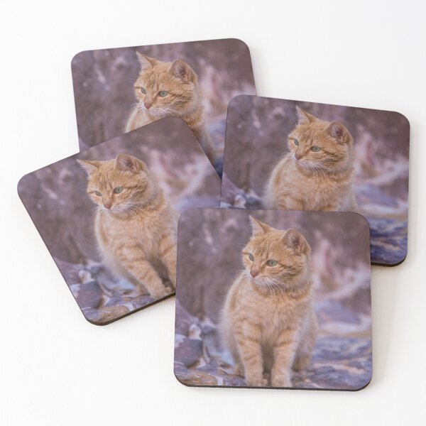 Item preview, Jordan. Petra. Kitten. designed and sold by vadim19.