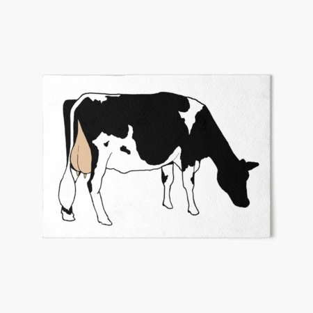 Black and white holstein dairy cow print on buying watercolor paper