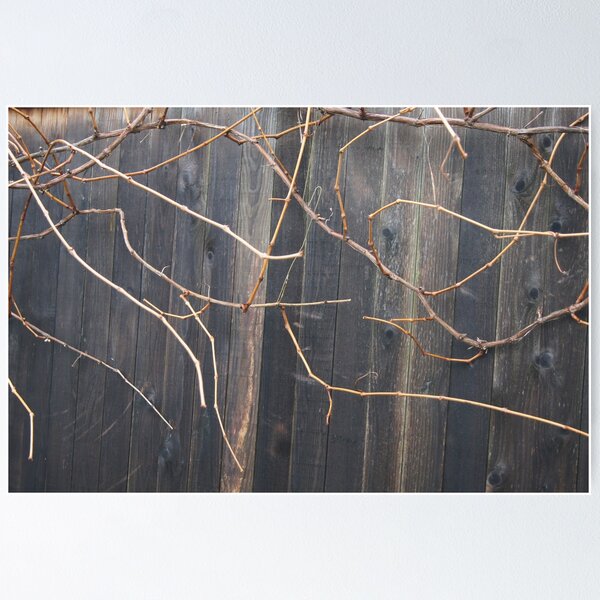 Item preview, Naked Grape Vines designed and sold by Loisb.