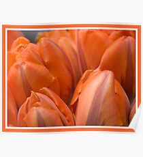 Floral Love Story . (9). by Brown Sugar. Views 207 . thank you ! Poster