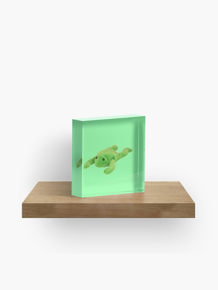 A Friend who is also a Soft Frog Plush Toy | Acrylic Block