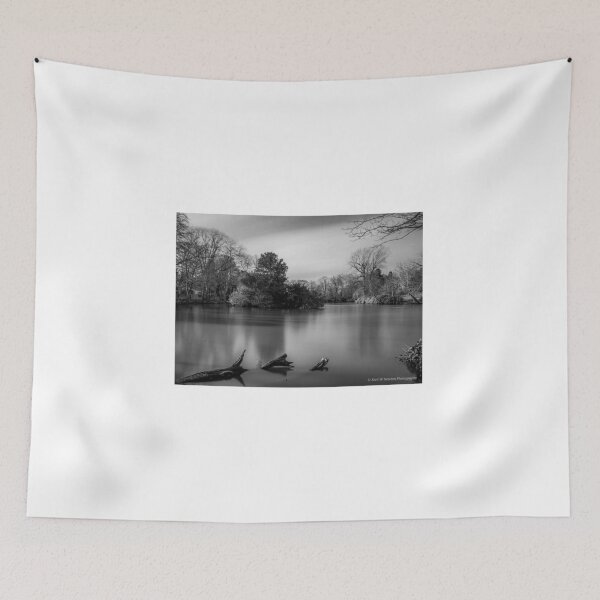 Item preview, Moseley Park n Pool Birmingham Mono Art Beautiful long exposure water sharp stunning designed and sold by kwn1804.