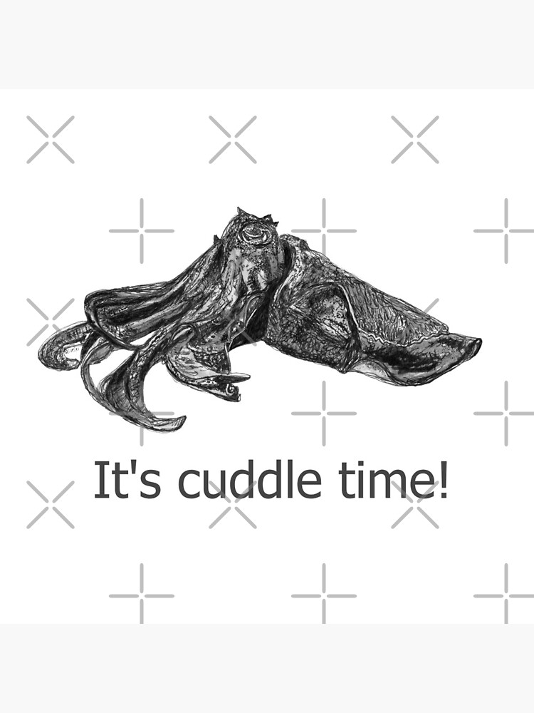 Cuddle time with Clive the Cuttlefish by Wildcard-Sue