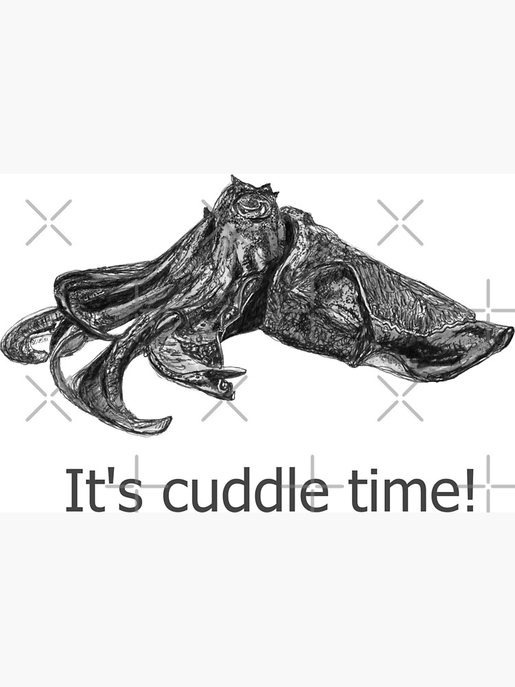 Cuddle time with Clive the Cuttlefish by Wildcard-Sue