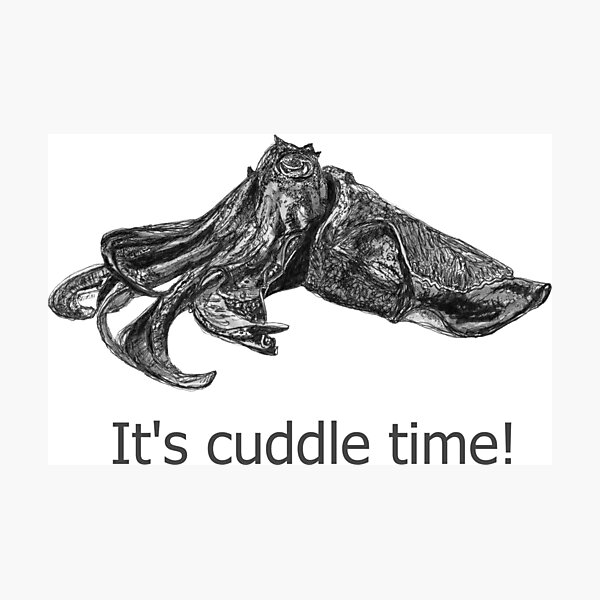 Cuddle time with Clive the Cuttlefish Photographic Print