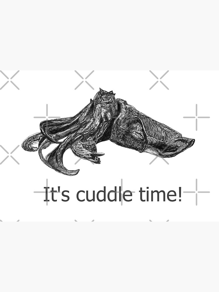 Cuddle time with Clive the Cuttlefish by Wildcard-Sue