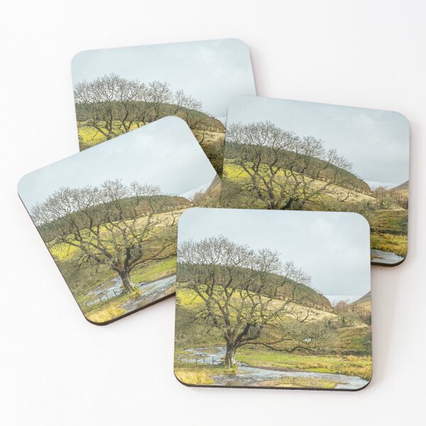Item preview, Looking up Cwm Crew in the Brecon Beacons National Park Wales. This is winter time hence the leafless tree. designed and sold by Cameranick.