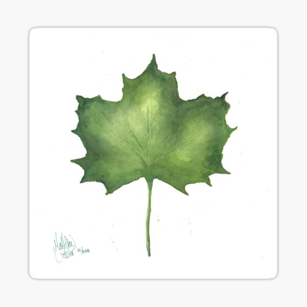 Green Leaf Sticker