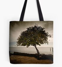 the wall Tote Bag