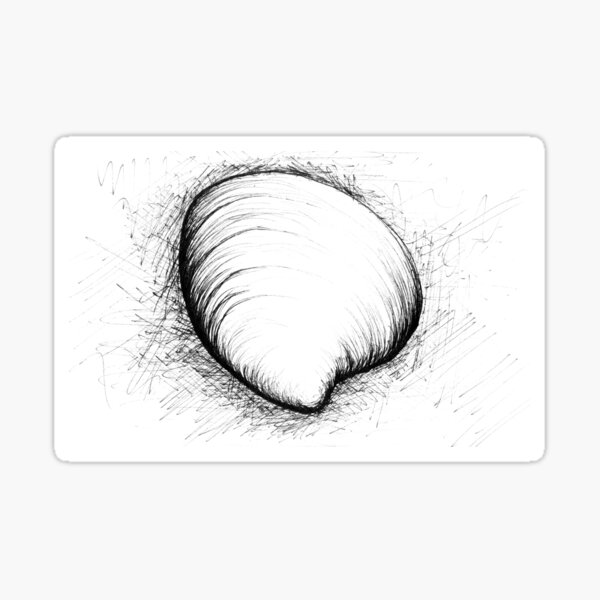 Butterclam Shell Sticker