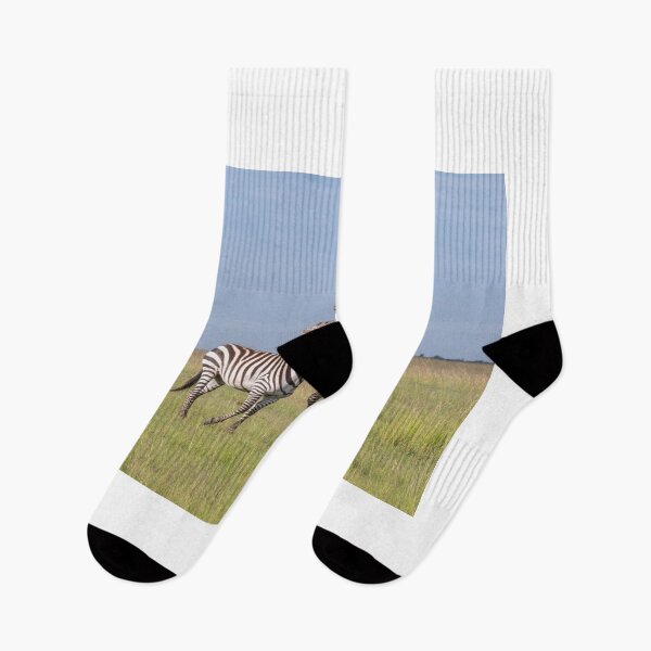 Item preview, Zebras designed and sold by Jamie Napier.