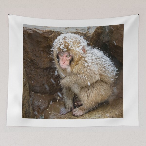 Item preview, Japanese Snow Monkey III designed and sold by PhotoArt by Joan Carroll.