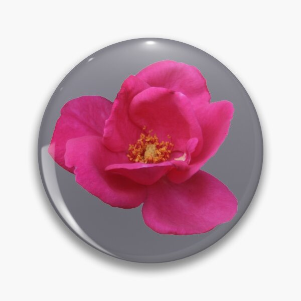 Item preview, Pink Rose designed and sold by STHogan.
