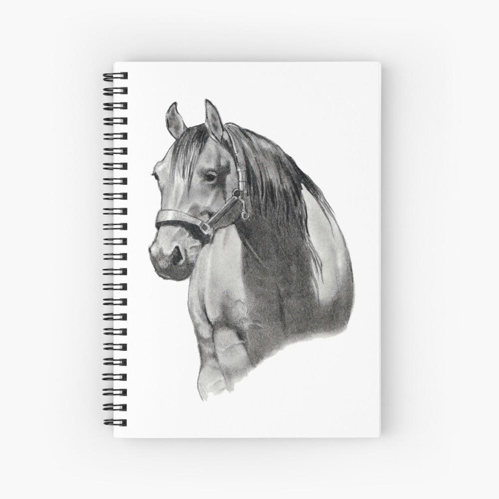 Horse Charcoal Drawing | Charcoal drawing animals, Realistic animal drawings,  Pencil drawings of animals