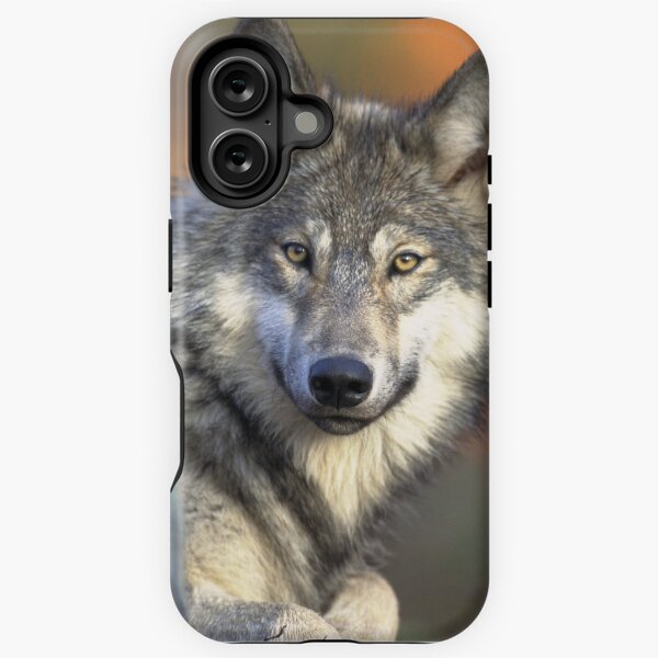 Item preview, Wolf Art designed and sold by JN14364JN.
