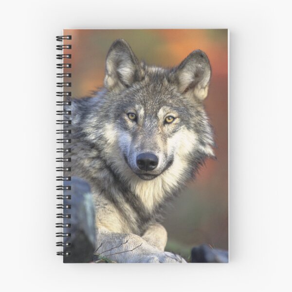 Item preview, Wolf Art designed and sold by JN14364JN.