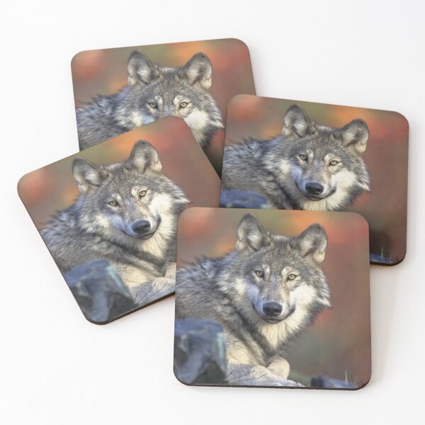 Item preview, Wolf Art designed and sold by JN14364JN.