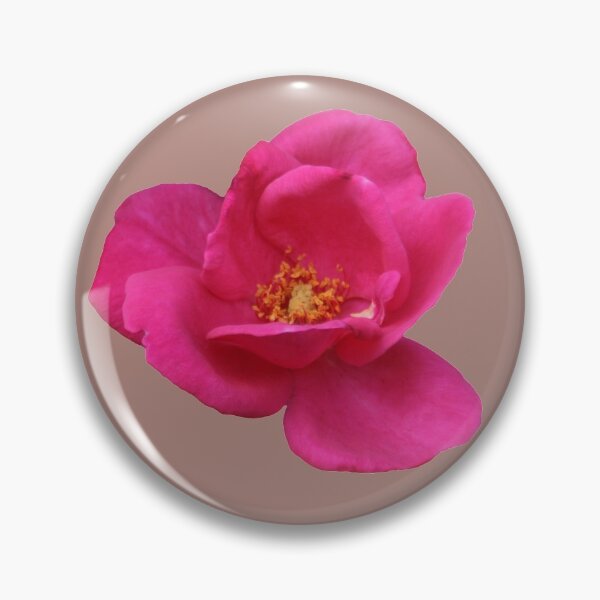 Item preview, Pink Rose designed and sold by STHogan.