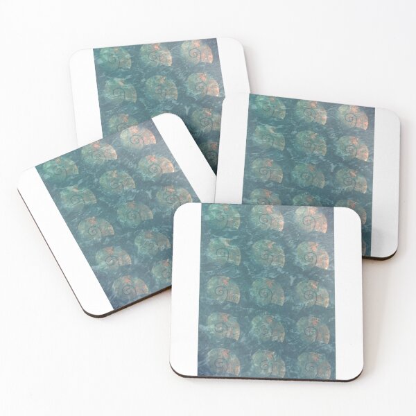 Item preview, Shells  designed and sold by Emilytheelf.
