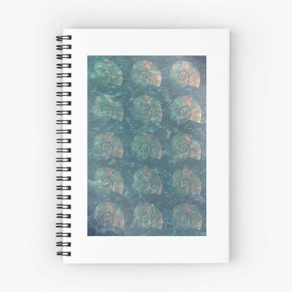 Item preview, Shells  designed and sold by Emilytheelf.