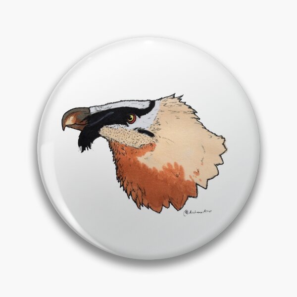 Item preview, Bearded vulture designed and sold by ScienceSkink.