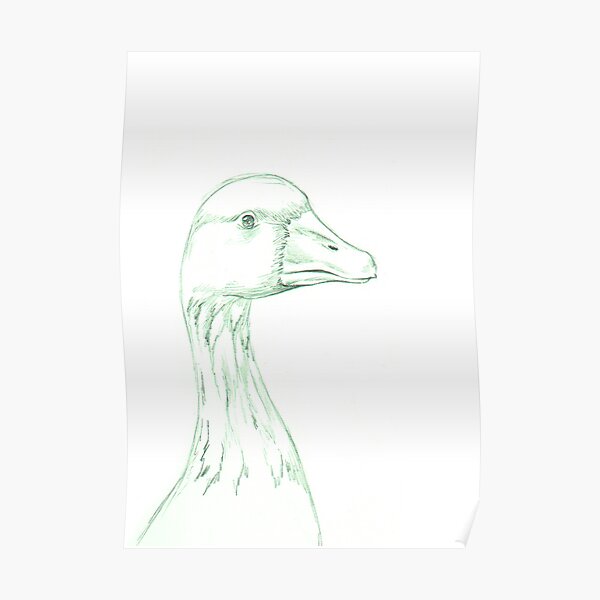 Grey Goose (domestic breed) Poster
