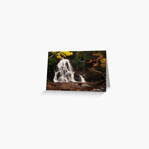 Wentworth Falls Greeting Card