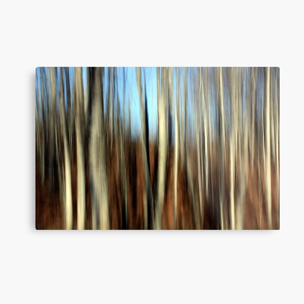Autumn Lines Metal Print