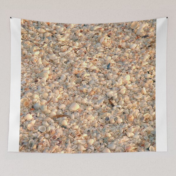 Item preview, Seashells from Sanibel Island designed and sold by PhilipBrown.