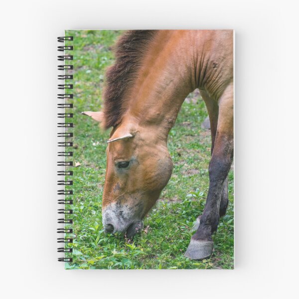 Artikelvorschau, Pferd auf einer Wiese entworfen und verkauft von bittervictory.