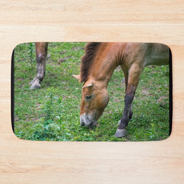 Item preview, Horse in a Meadow designed and sold by bittervictory.