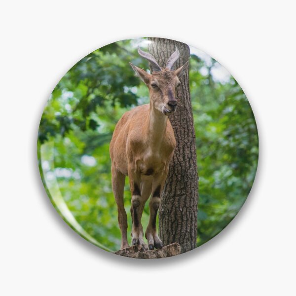 Item preview, Goat on a Stump designed and sold by bittervictory.