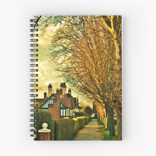 Item preview, Hull, Garden Village designed and sold by golan22may.
