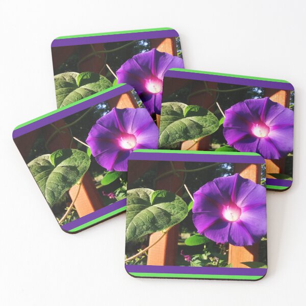 Item preview, Glorias de la mañana, fotografía de naturaleza primaveral por Courtney Hatcher designed and sold by cghatcherart.